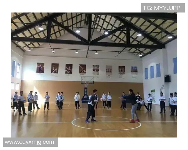 从零基础到高手：全面掌握排球比赛的技巧与策略指南