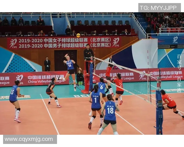 深度分析深圳排球队进攻策略与战术布局的独特之处