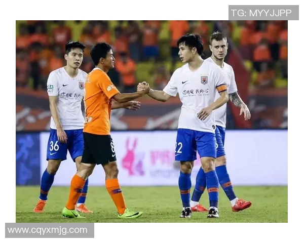 武汉排球队区域防守战术解析与实践探讨