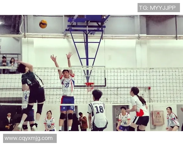 西安排球队的奋斗与荣耀：一段排球精神的真实纪实之旅