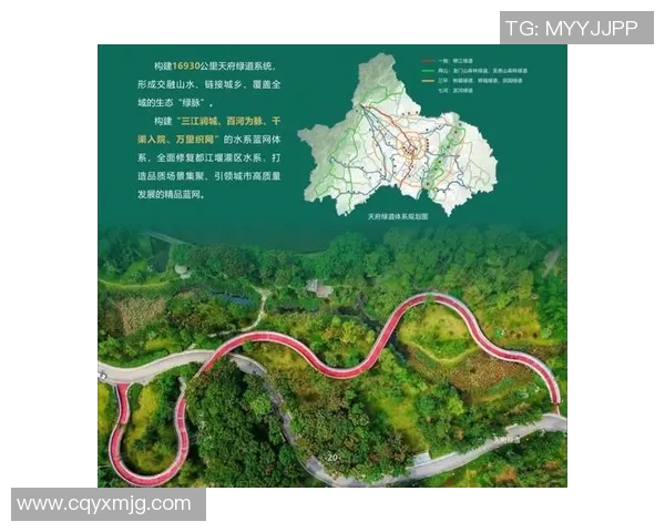 重磅专题:成都飞盘队如何实现中路突破的战术创新与实践探索