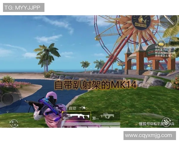 和平精英战术解析BLG战队进攻体系的独特策略与执行方式 和平精英战术解析BLG战队进攻体系的独特策略与执行方式