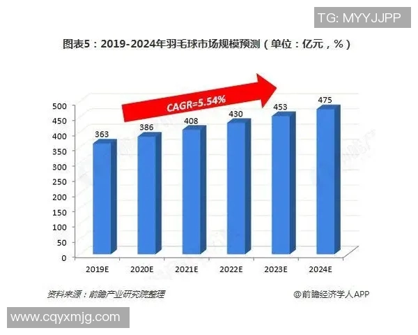 成都羽毛球队力量表现的数据分析与提升策略探讨 成都羽毛球队力量表现的数据分析与提升策略探讨