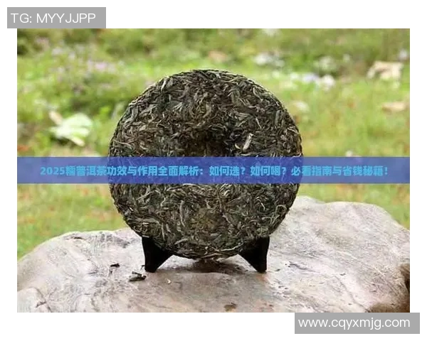 排球新手必看:快速掌握基础技巧与战术的全面指南 排球新手必看:快速掌握基础技巧与战术的全面指南